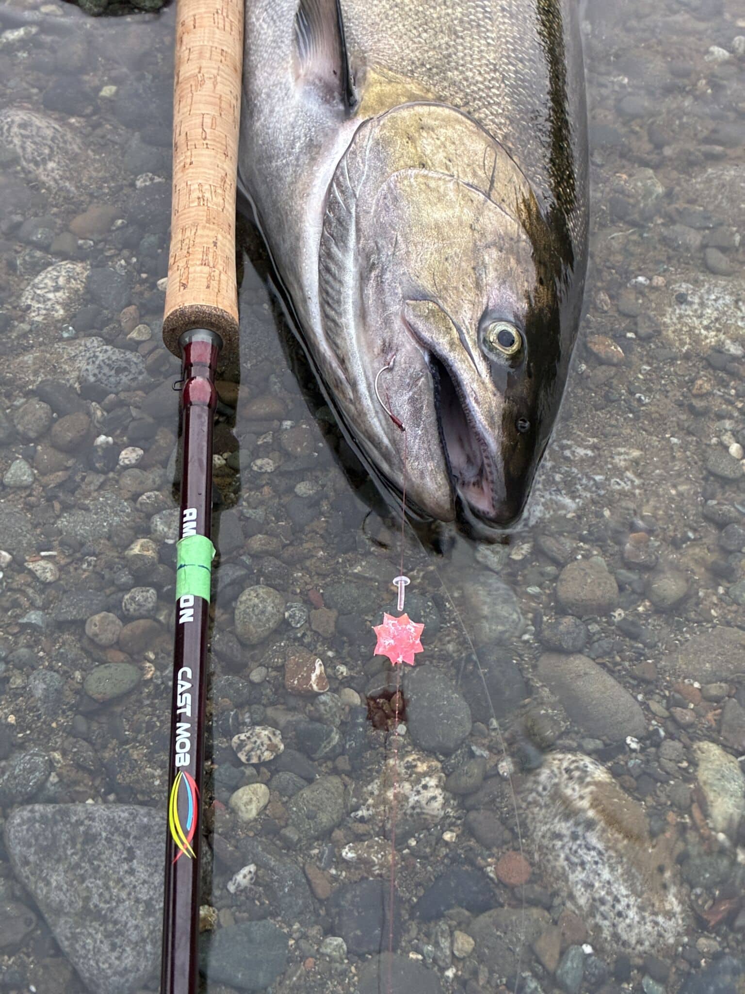 Somass River Salmon Fishing: Low-Water Tactics Somass River Salmon Fishing Rod blank marked with green tape for Somass River salmon size limits