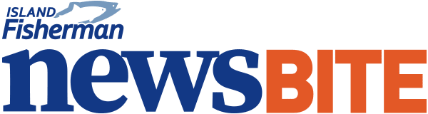 Newsletter Subscription