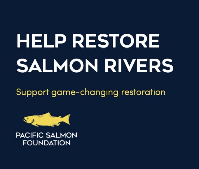 Vancouver Island Chinook Recovery at Muchalat Help Restore Salmon Rivers - Support Pacific Salmon Foundation
