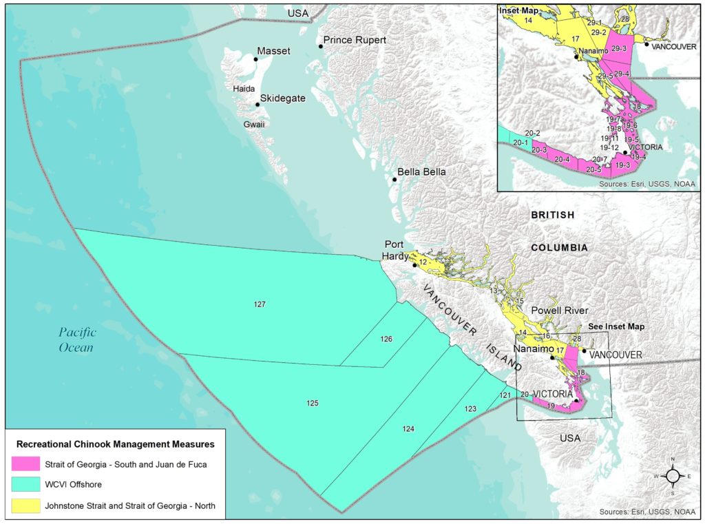 DFO Announces Chinook Fishery Shutdown – Island Fisherman Magazine